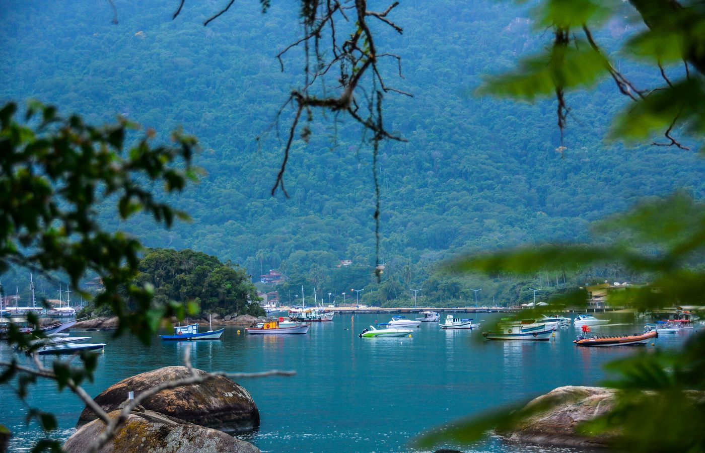 Boats moored in a calm bay below forested hills, framed by leaves, at Vila do Abraão on Ilha Grande