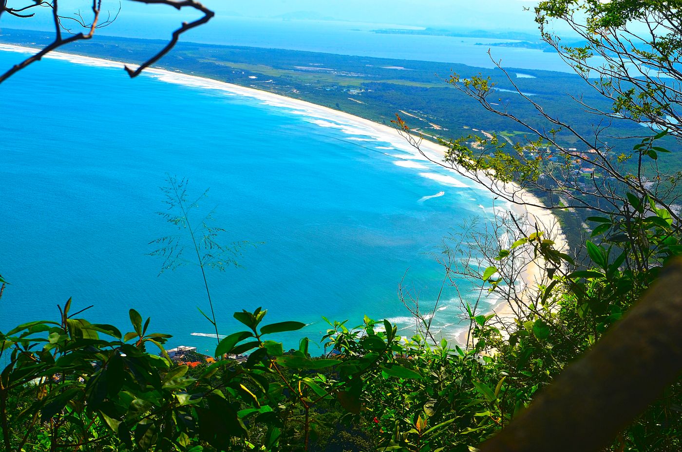 The long sandbar of the Restinga da Marambaia curving into the distance, seen through trees from a hillside trail